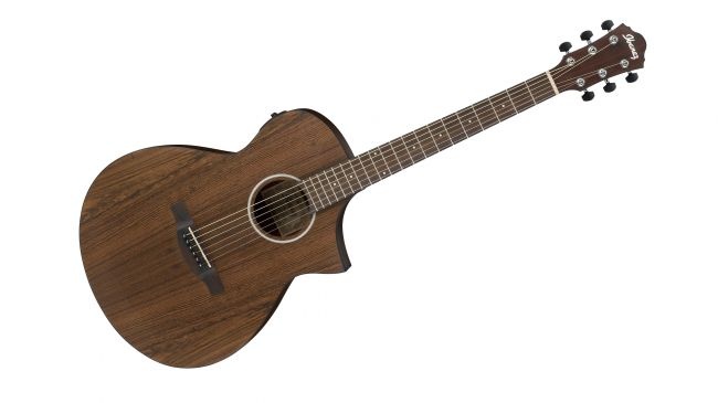Ibanez AEWC31BC-OPN