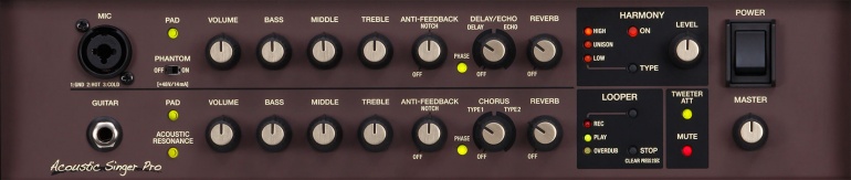 Boss Acoustic Singer