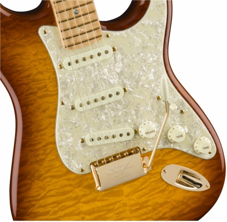 J.W. Black Stratocaster