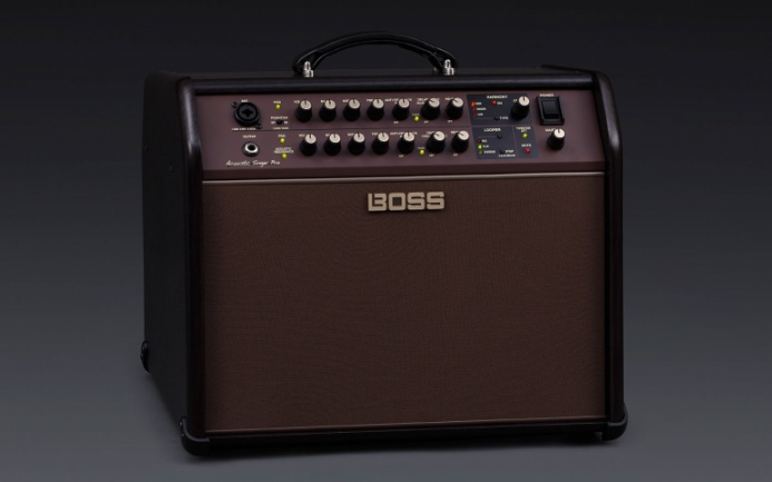 Boss Acoustic Singer Pro