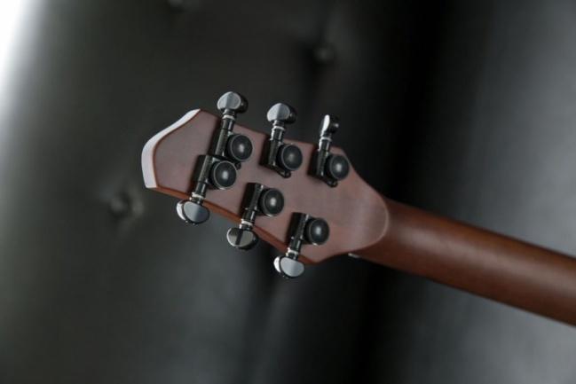 Jericho Walnut Evertune