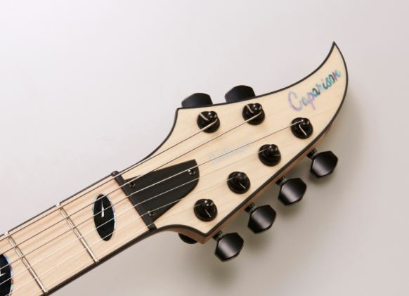 Caparison Dellinger-JSM