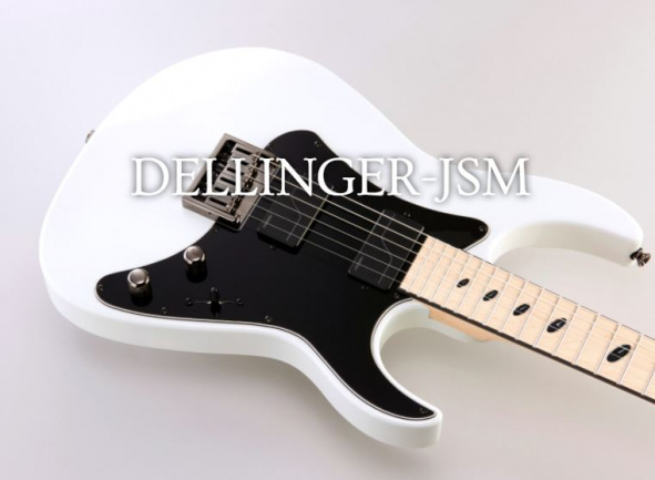 JSM 3 Caparison Dellinger