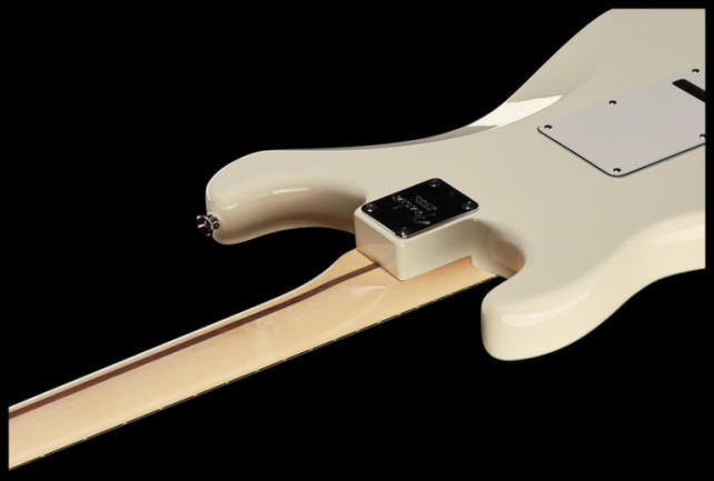 American Professional