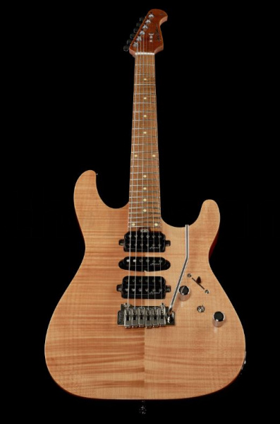 Harley Benton Fusion-II HSH Roasted