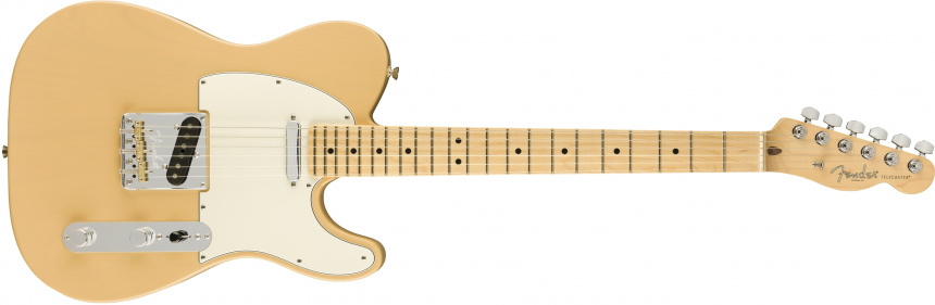 Lightweight Ash American Professional Tele