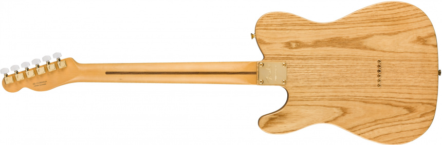 Red Mahogany Top Telecaster back