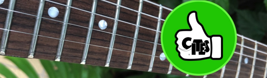 Diapasón de Palorrosa