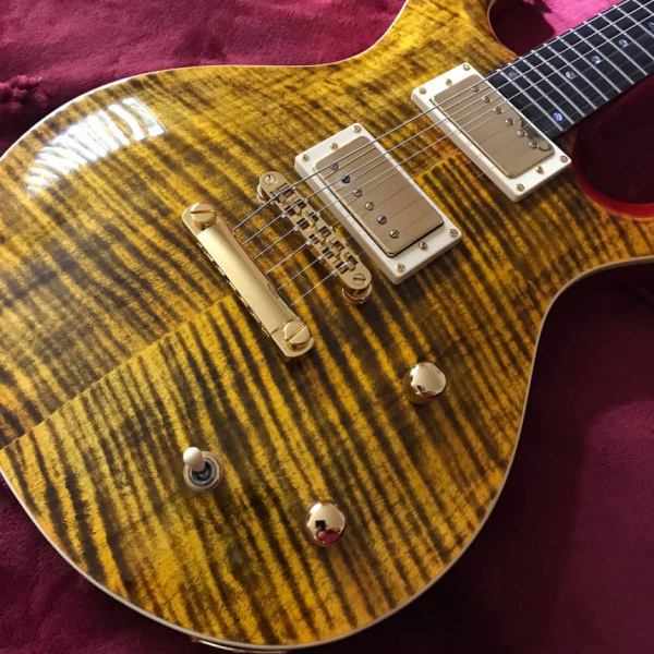 Frank Stallone Guitars Tiger3