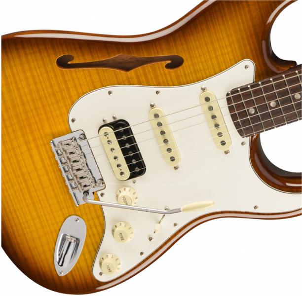 Fender Flame Maple Top Stratocaster HSS Stratocaster Thinline