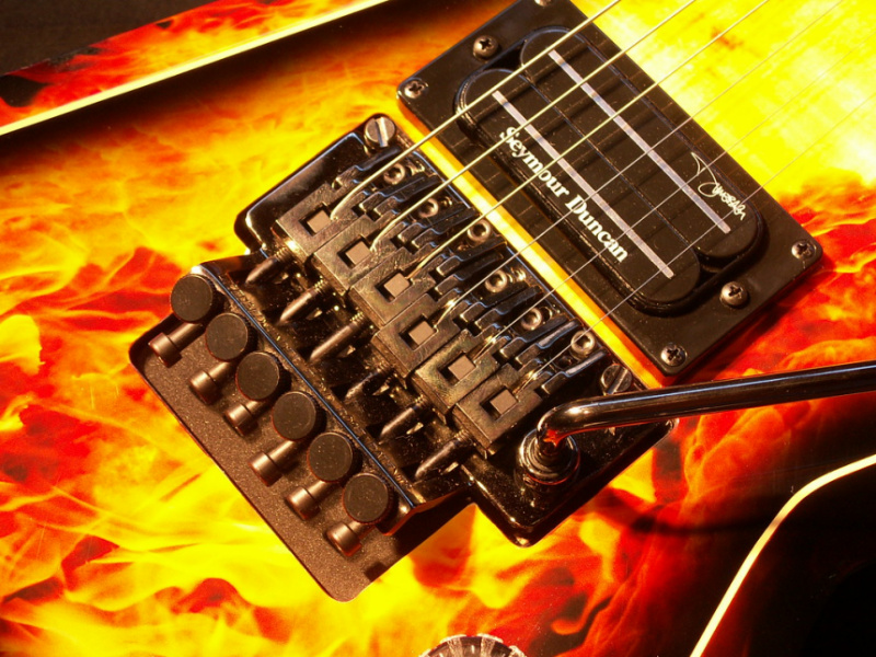 Floyd Rose
