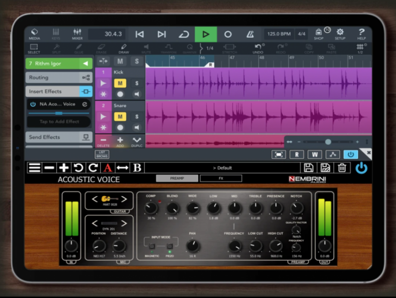 Nembrini Acoustic Voice