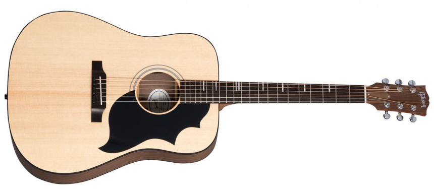 Frontal de la Gibson G-Bird