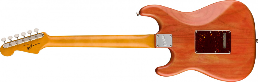 Trasera de la Fender Michael Landau Coma Strat