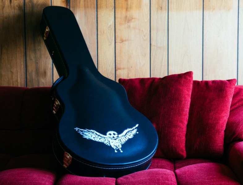 Estuche de la Epiphone Jim James ES-335