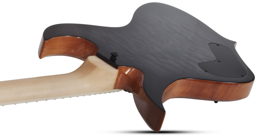 Trasera de la Wylde Audio Thoraxe Transparent Blac