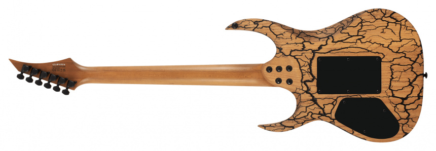 Trasera de la AB1.6 FR Blitz