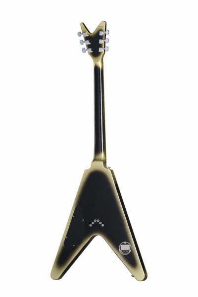 Gibson Adam Jones Flying V Collector's Edition