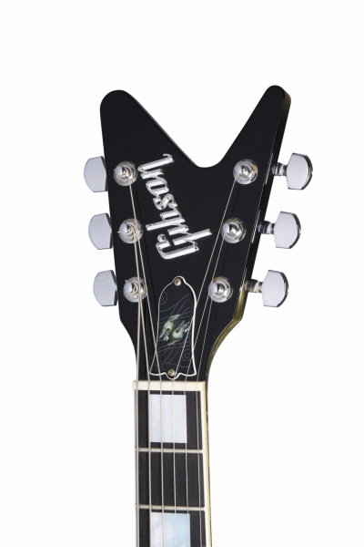 Gibson Adam Jones Flying V Collector's Edition