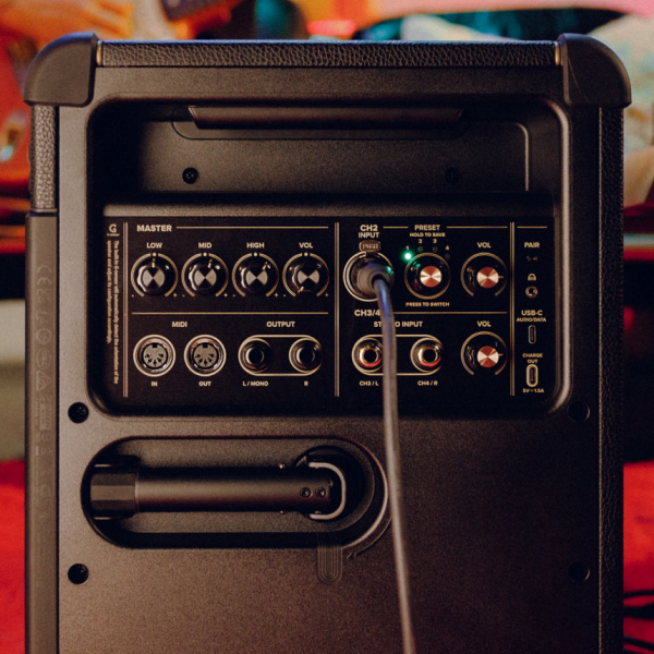 Panel trasero del Positive Grid Spark Live