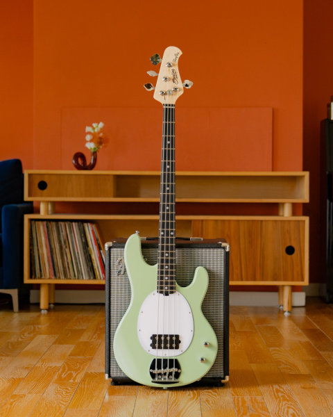 Sterling by Music Man Intro Series Stingray