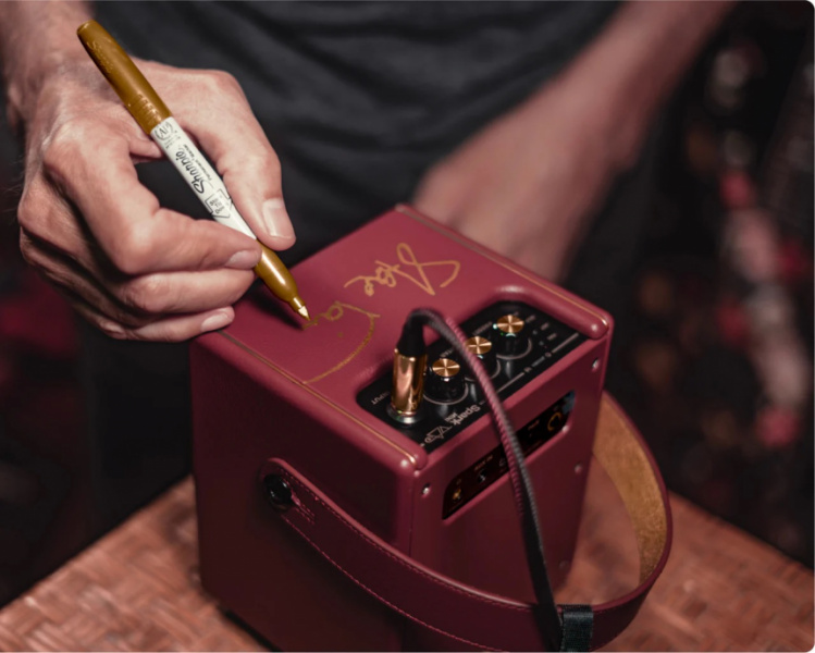 Positive Grid Spark Mini VAI