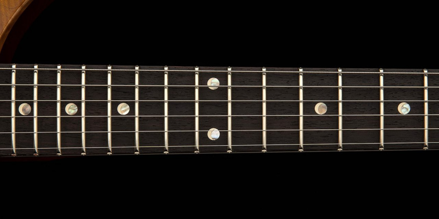 Inlays de la PRS DGT Semi-Hollow Limited Edition