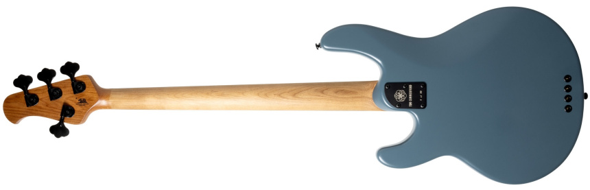 Trasera del Tim Commerford StingRay 2024