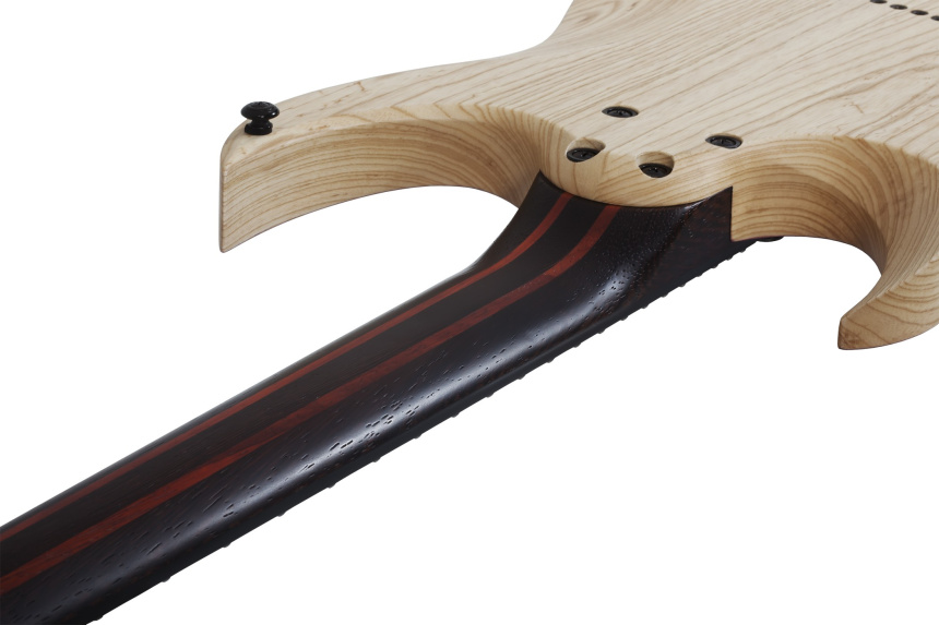 Mástil de la Schecter John Browne Tao