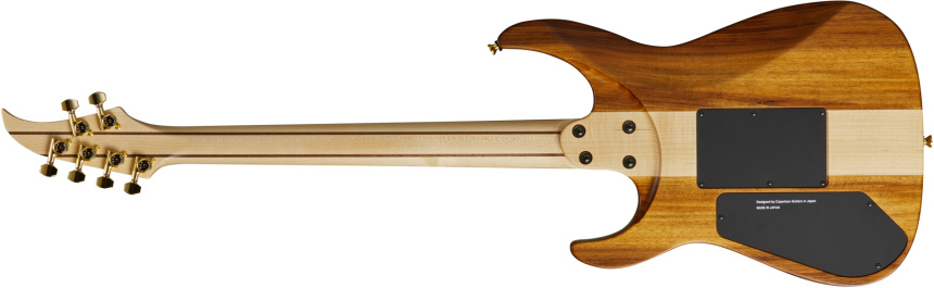 Trasera de la Caparison 30th Anniversary Dellinger