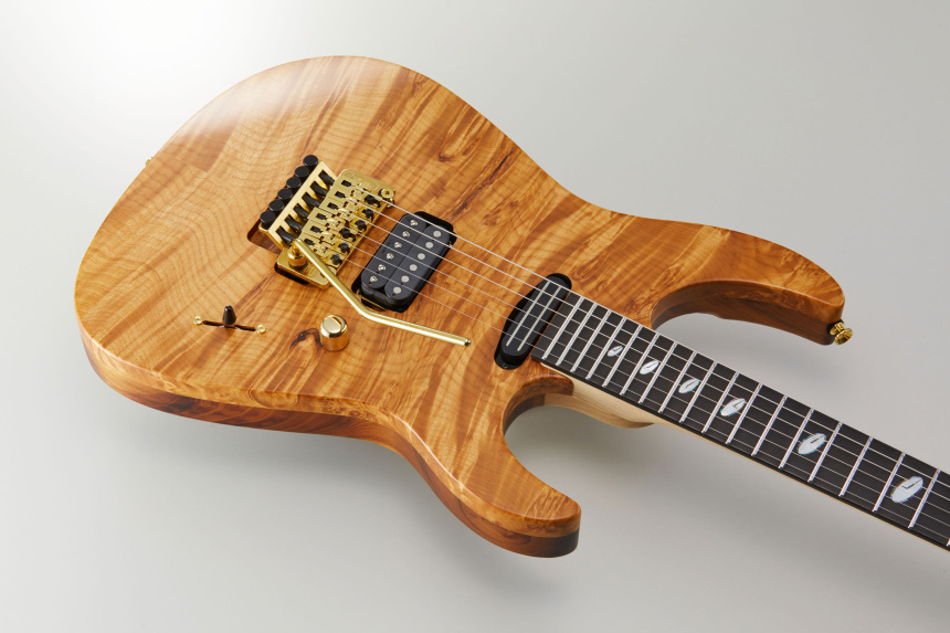 Cuerpo de la Caparison 30th Anniversary Dellinger-