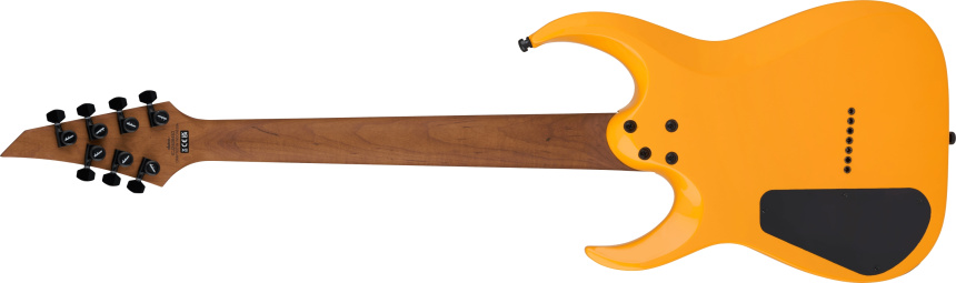 Trasera de la Pro Series Signature Misha Mansoor J