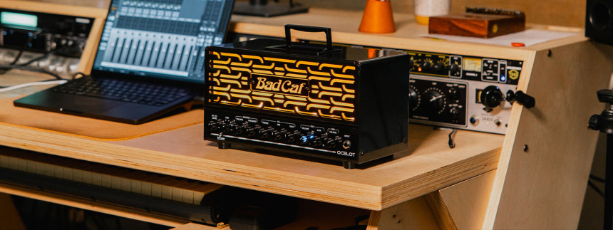 Bad Cat Ocelot en el estudio