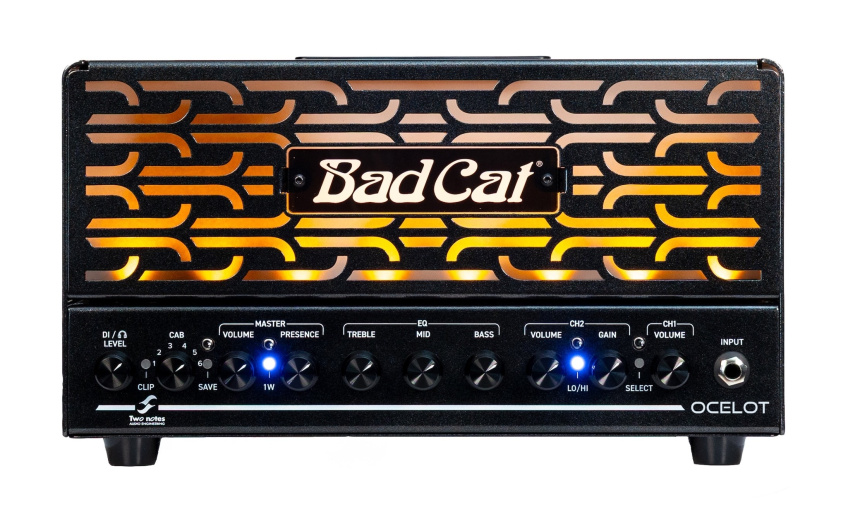 Panel frontal del Bad Cat Ocelot