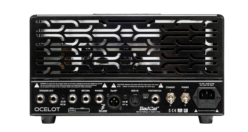 Paul trasero del Bad Cat Ocelot