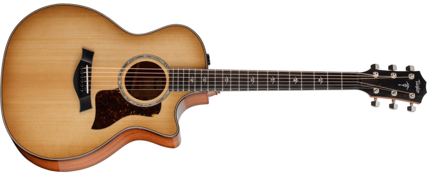 Taylor 514ce Urban Ironbark
