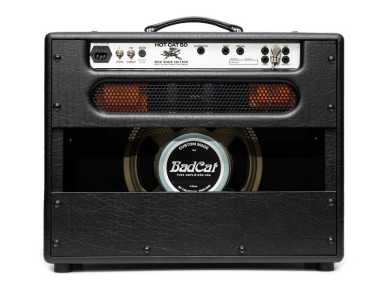 Trasera del combo Bad Cat Hot Cat 50 Mod Shop