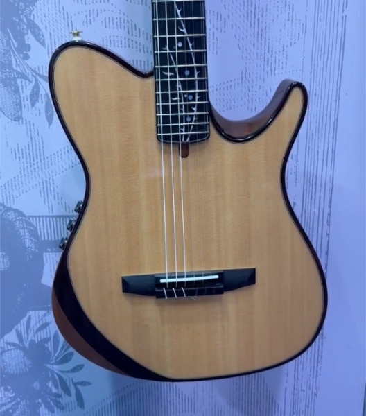 Cuerpo de la Ibanez TOD100N