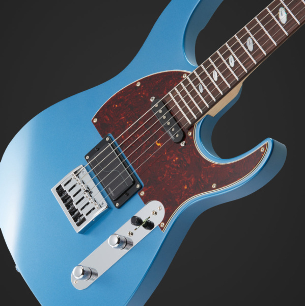 Cuerpo de la Caparison Dellinger-JSM-V2-LTD Vintage Blue