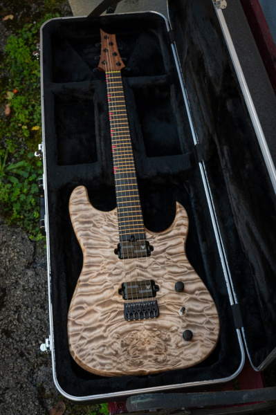 Guitarra completa en estuche rígido abierto mostrando pala, diapasón negro y tapa de arce acolchado.