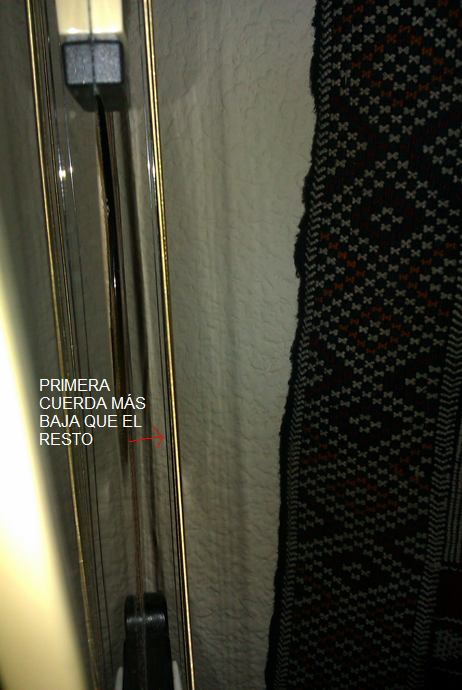 9d992571f5a4fcba85aaa05d1e9de-2009175.png