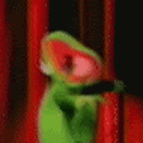 e1a7ede025ff48ddc21c0495389a2-562206.gif
