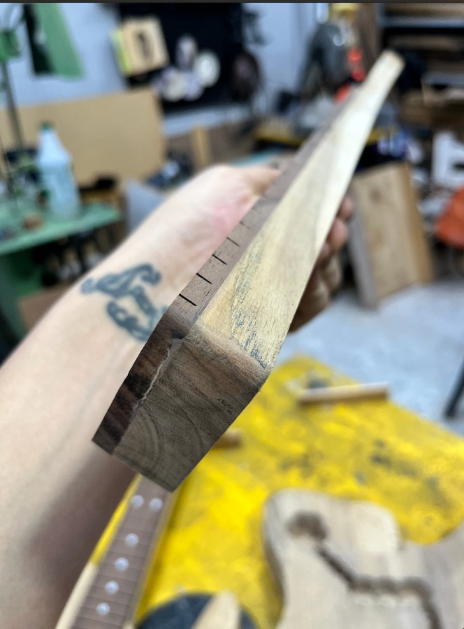 f350453600128d37bee58ae0aebc5-3051968.jpeg