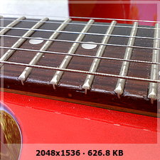 50f85256528e4a91f90b7cb647991-1769744.jpg