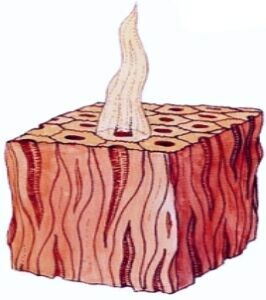 140.jpg