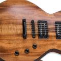 ESP ha presentado la serie "1000 Koa" y nuevos modelos dentro de la serie "LTD SN"