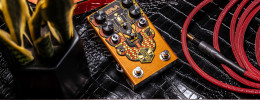 Beetronics Larva, Phaser dual con capacidad de "morphing" entre ellos y preamp incorporado