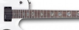 Nuevas Charvel Desolation