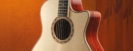 Nuevas acústicas Taylor Fall Limited