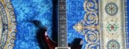 Review Paul Reed Smith Custom 24